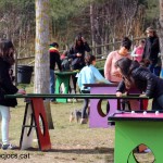 camping fontfreda (3)